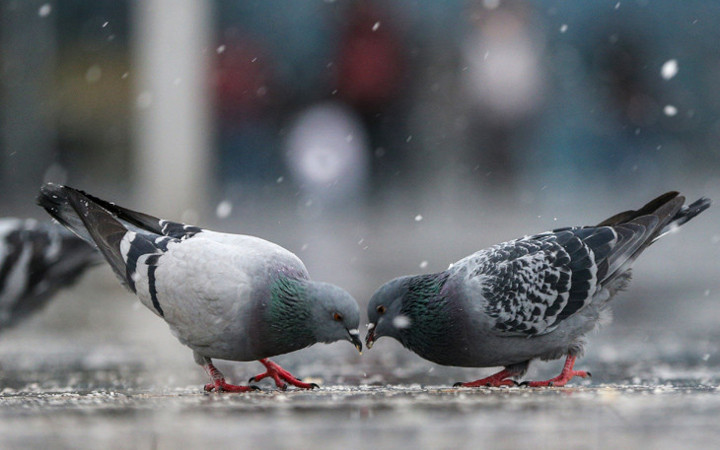 Hava tahmini yenilendi 5 gün kar var İstanbul ve Ankara da listede