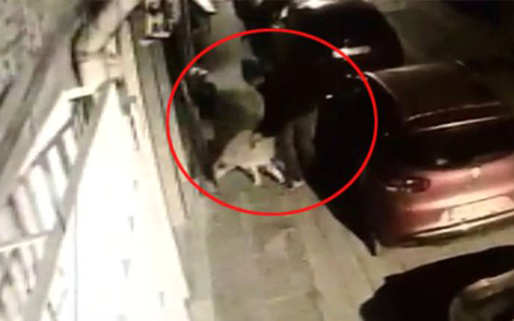Köpeğe tecavüz etti iğrenç sapığı mahalleli yakalayınca olanlar oldu