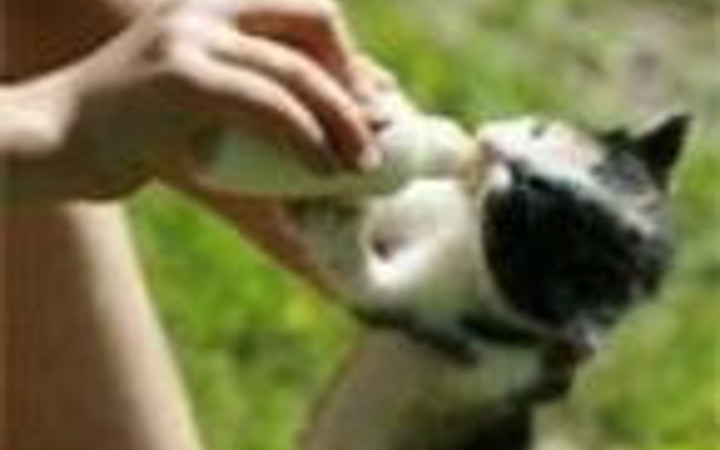 En ilginç 'o anlar'