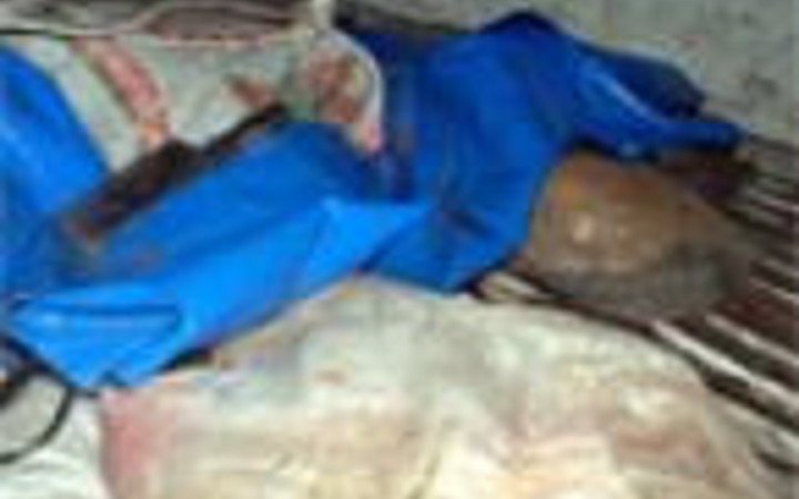 Çinliler kanlı çuvalda ne taşıyor?