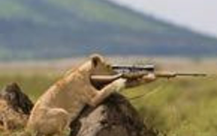 En komik reklam afişleri