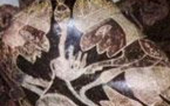 Bu olaylar açıklanamıyor