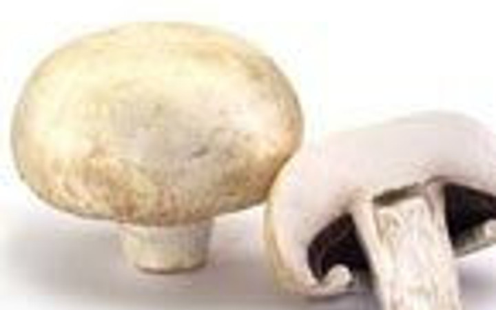 Mantar zehirlenmelerine dikkat!