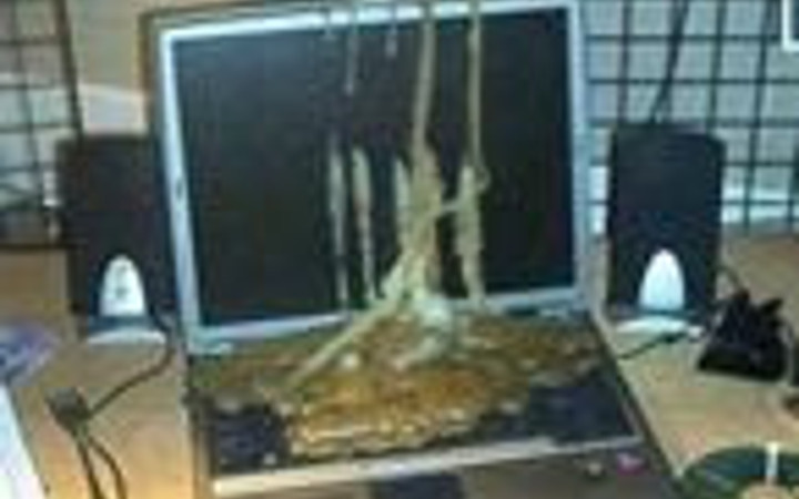 İnternetin en çok tıklanan kareleri