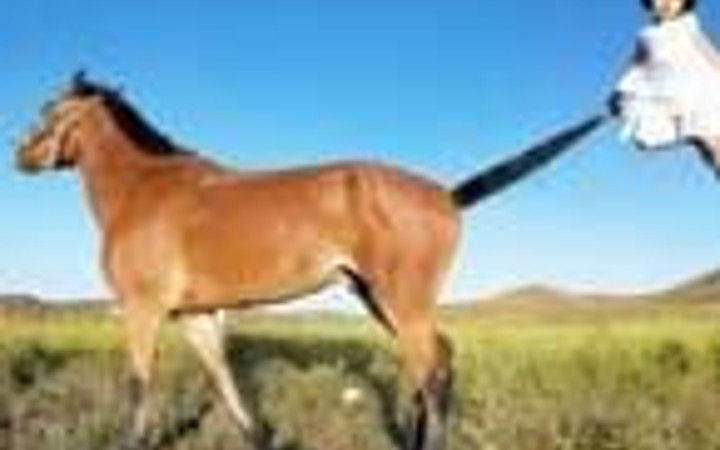 Sandığınız gibi bunlar photoshoplu değil!