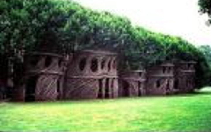 İnsan yapımı dev kuş yuvaları