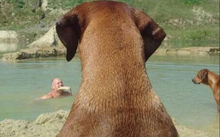 Katılarak güleceğiniz bomba fotoğraflar!