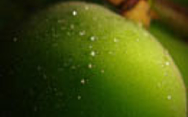 Sinire iyi gelen meyve!