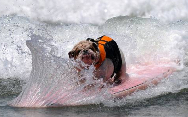Günün en çok paylaşılan fotoğrafları