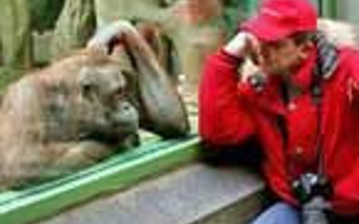 İnternetin en komik 100 karesi