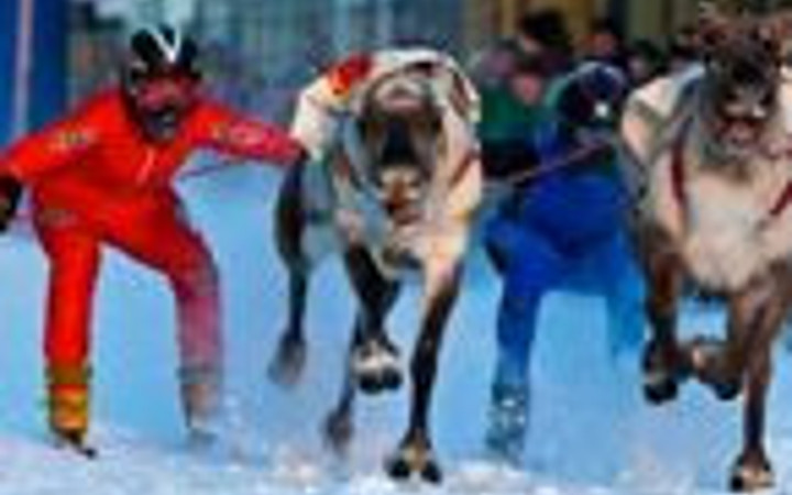 İnternetin en komik kareleri