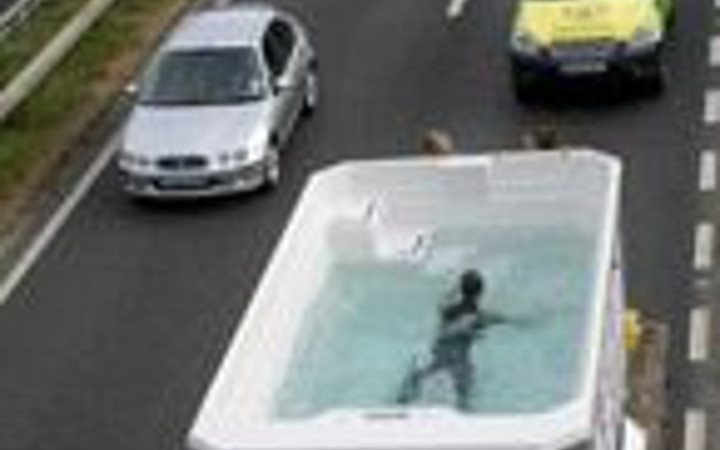 Yaratıcılıkta sınır tanımayan fotoğraflar!