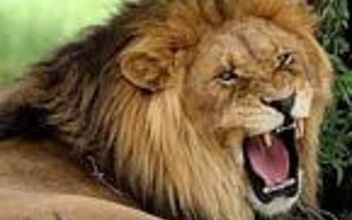 İnsan yiyen hayvanlar