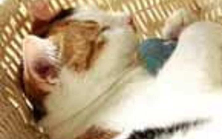 Bu kareler de sizin seçtikleriniz!