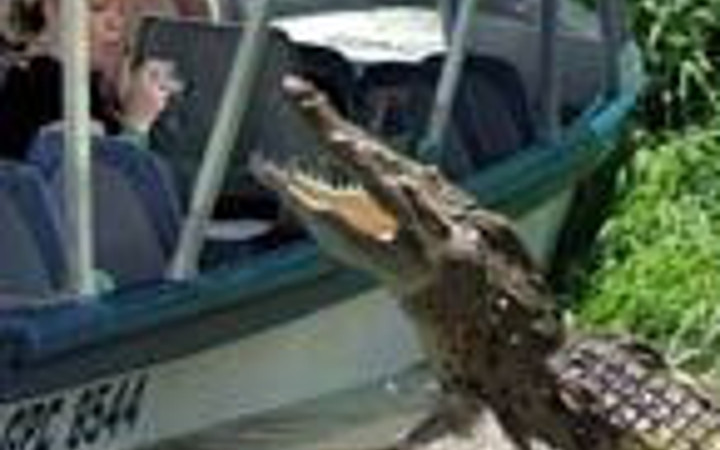 İnternetin tık rekoru kıran fotoğrafları