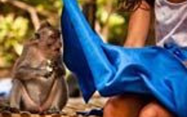 İnternetin en garip fotoğrafları