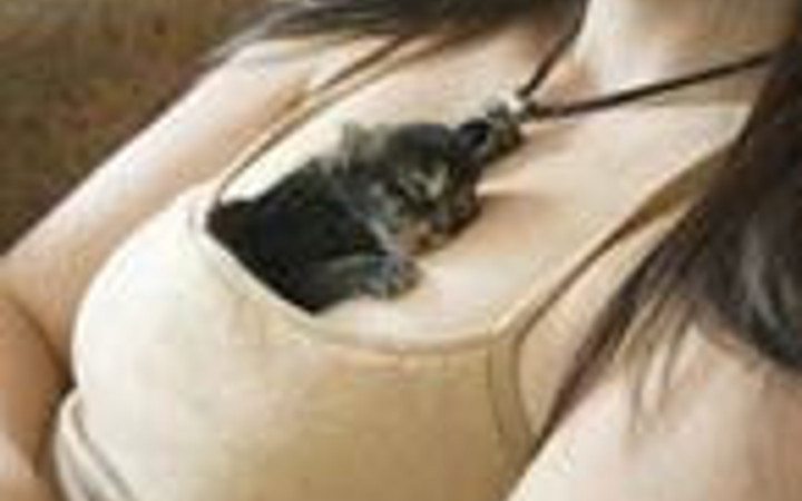 Hayvanlar aleminin en tuhaf anları