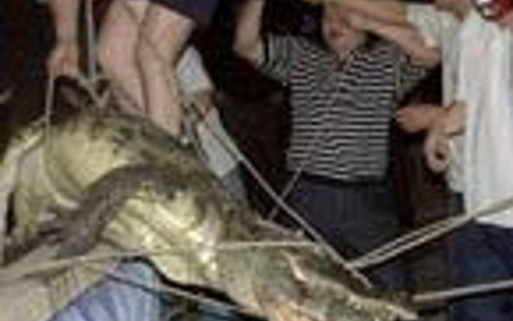 İnsan eti yiyen hayvanlar!