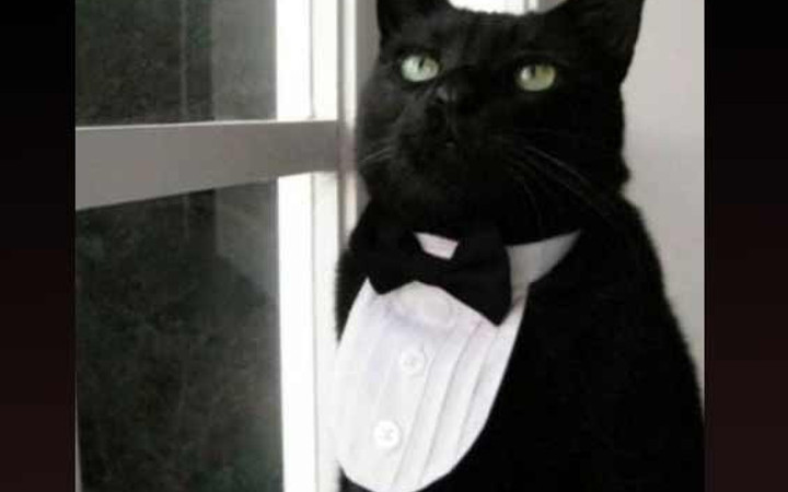 Gülme krizine sokan bomba kareler!