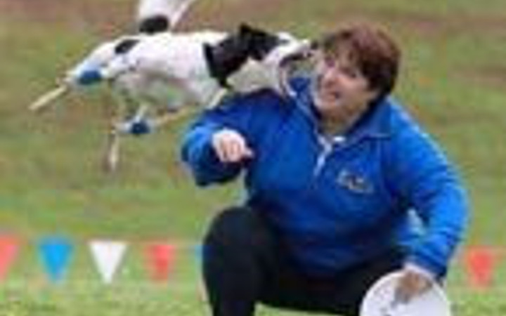 Hayvanların en çok çıldırdığı anlar!