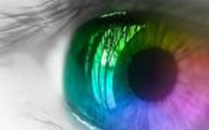 2050 'ye kadar hayatımızdan yok olacaklar