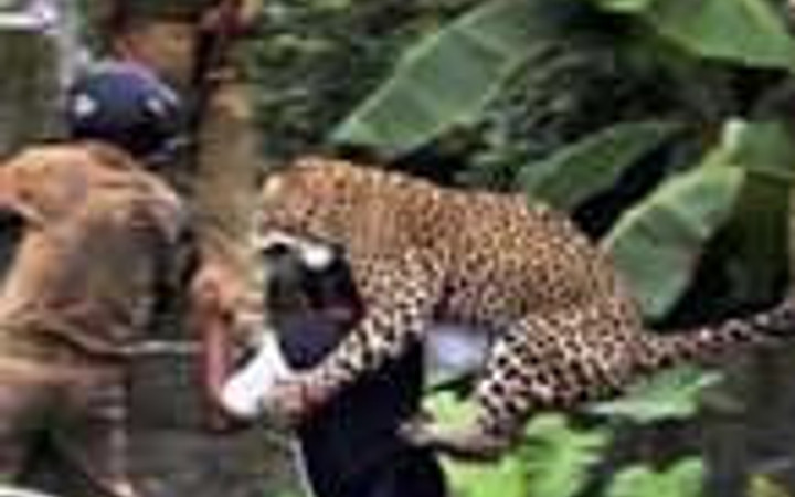 Tam o anda çekilen fotoğraf kareleri