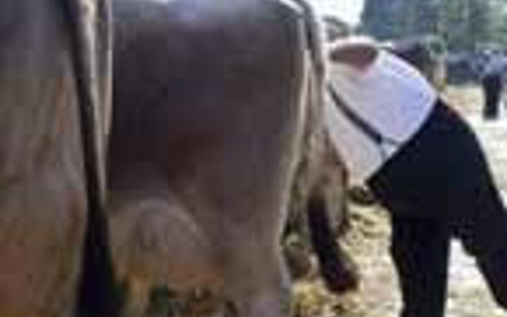 Günün en çok tıklanan kareleri