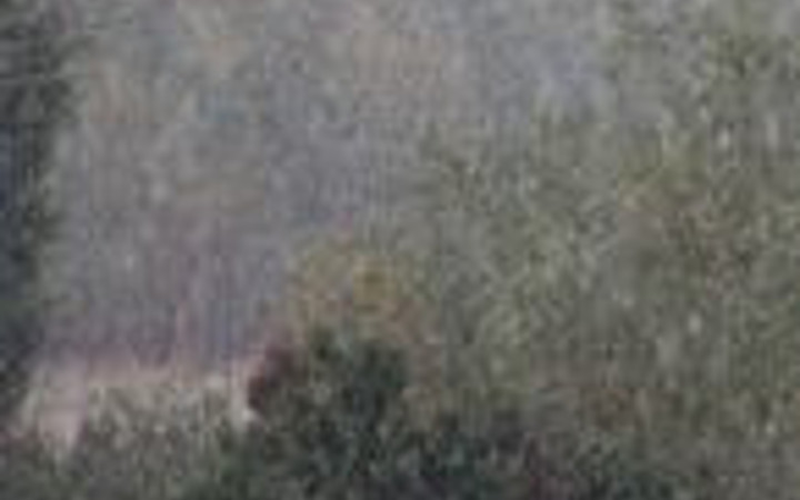 Van'da korkulan oldu