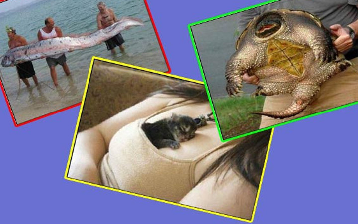 Günün en çok ilgi çeken fotoğrafları