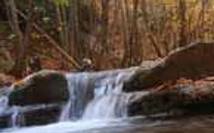 Görenleri büyüleyen saklı cennet