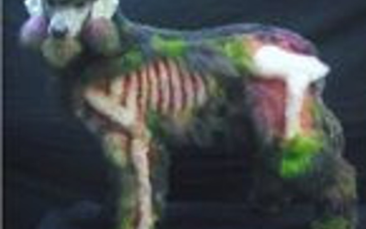 Günün en ilginç fotoğraf kareleri!