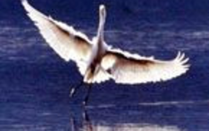 Hayran bırakan manzaralar