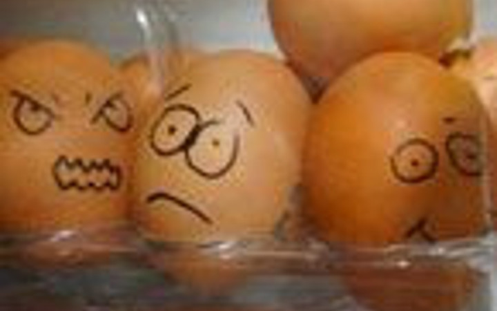 İnternetin en çılgın yumurtaları