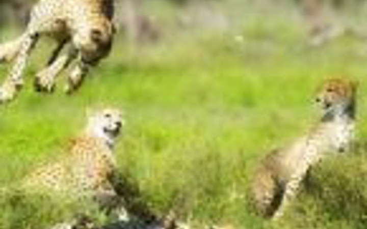 İşte doğadaki o anlar