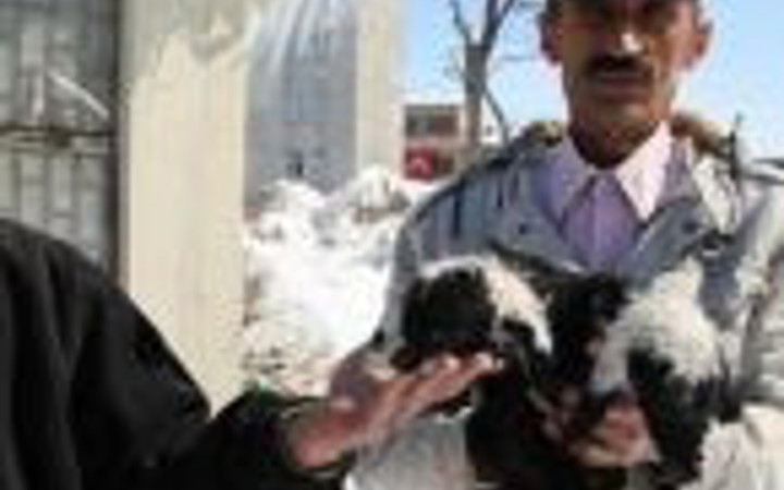 Van'da inanılmaz olay!