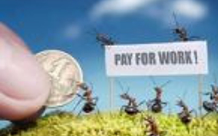 Bu karıncalar çok artistik