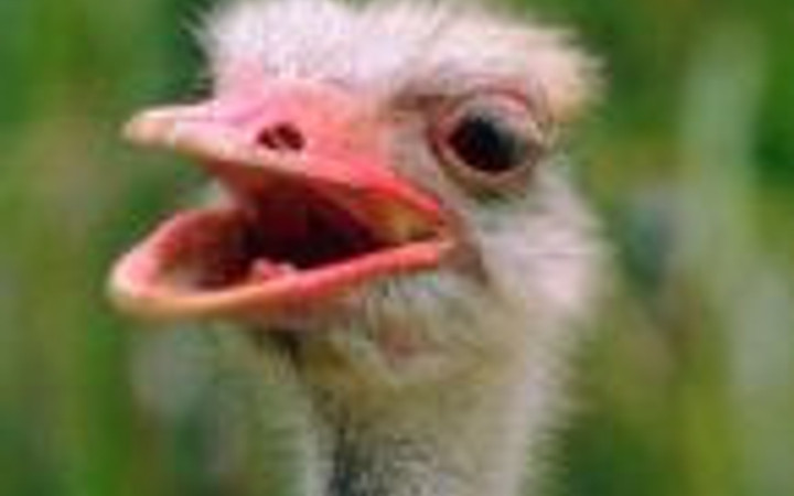 En tuhaf ama en ilginç bilgiler