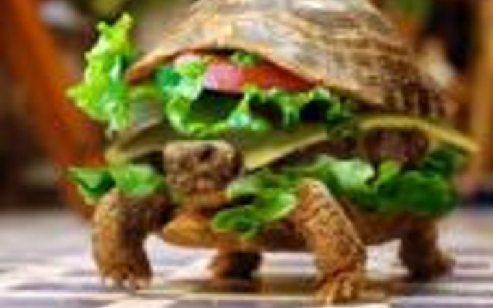 Birbirinden ilginç masaüstü resimleri