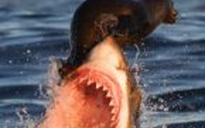 Ölüm makinesi bir anda ortaya çıkınca...