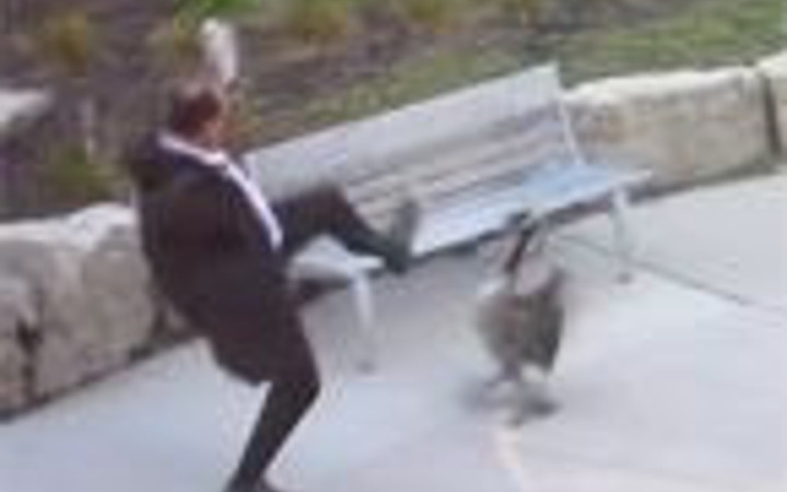 İşte gülme garantili ilginç park kavgası