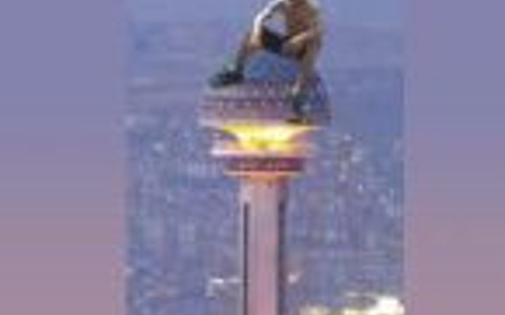 Böyle olur yurdum insanı profilleri