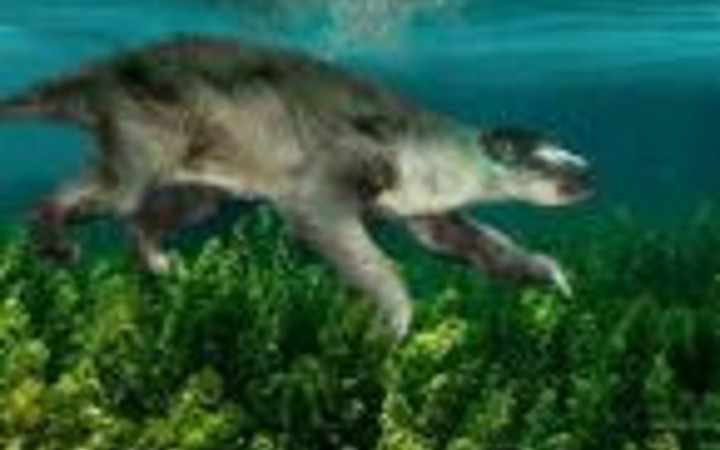 Daha önce bu yaratıkları görmediniz!