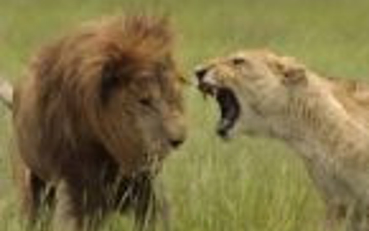 Günün en bomba fotoğrafları