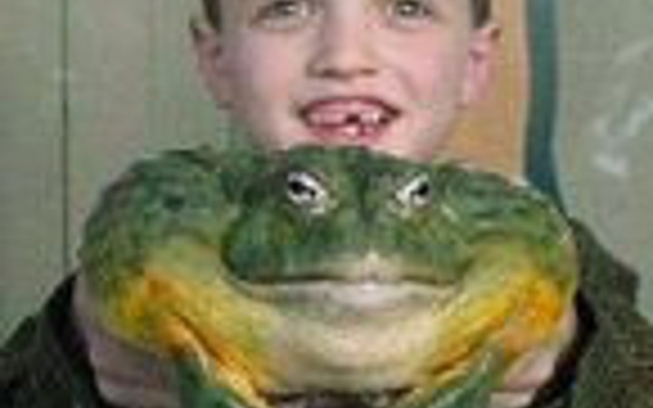 Bu hayvanlar görenleri çok şaşırtıyor