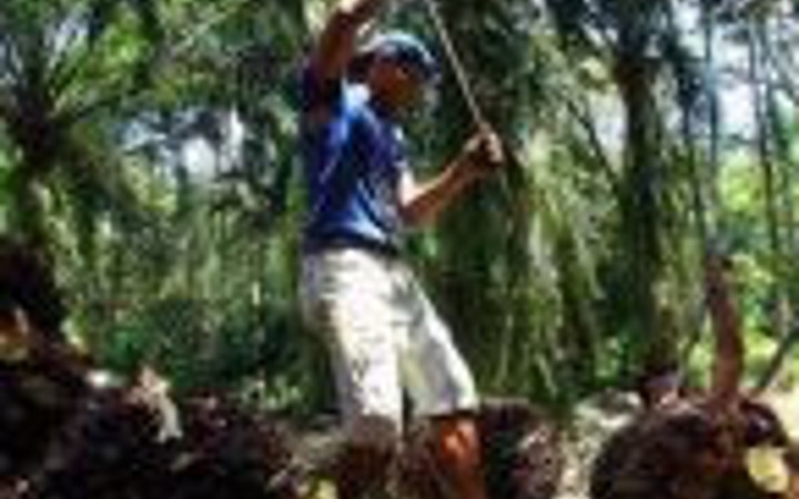 Dünyanın çeşitli yerlerinden günün fotoğrafları