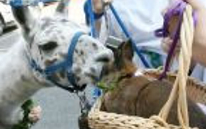 En ilginç dostluklar...