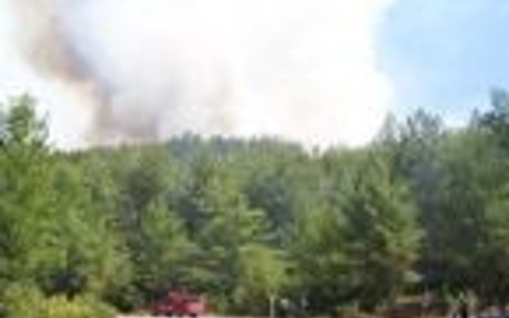 Osmaniye'de orman yangını