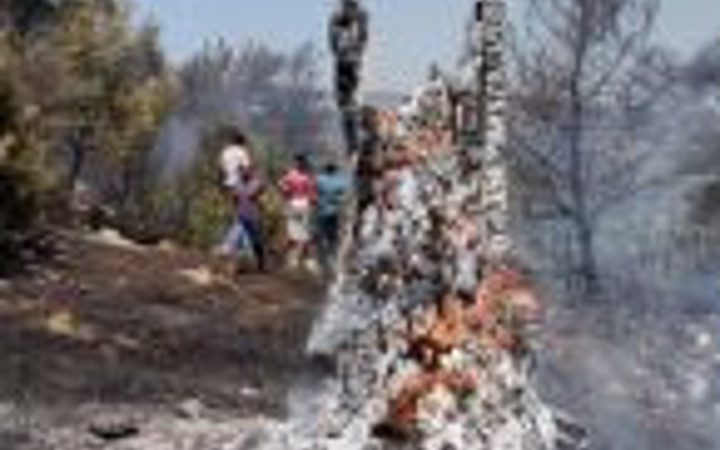 Muğla Ula'da yangın