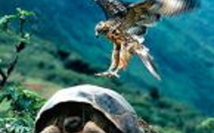 Tam o anda çekilen fotoğraflar