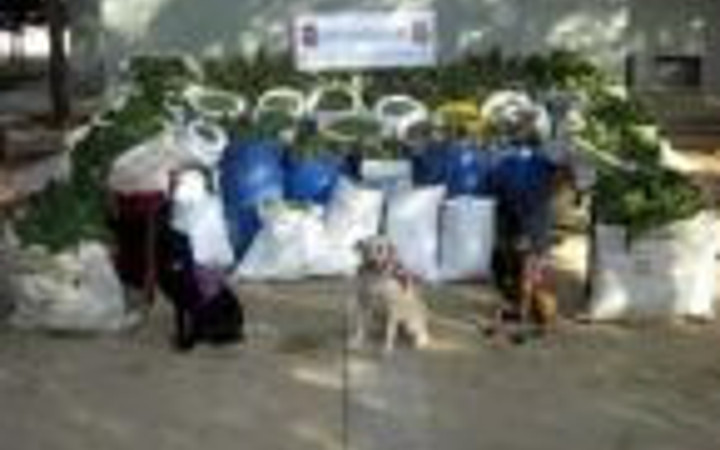 PKK'ya MİT destekli operasyon